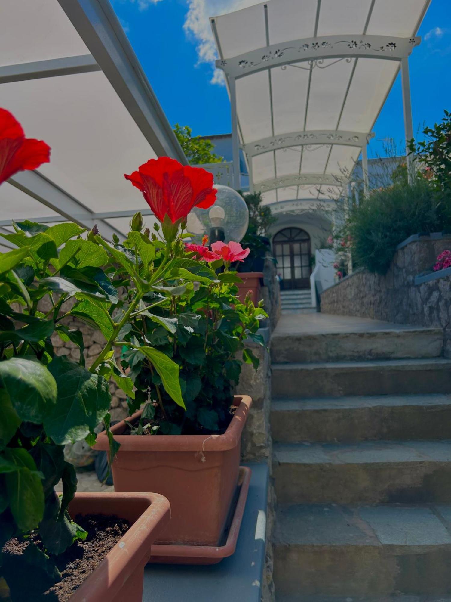 Capri Melody Bed & Breakfast Anacapri  Dış mekan fotoğraf